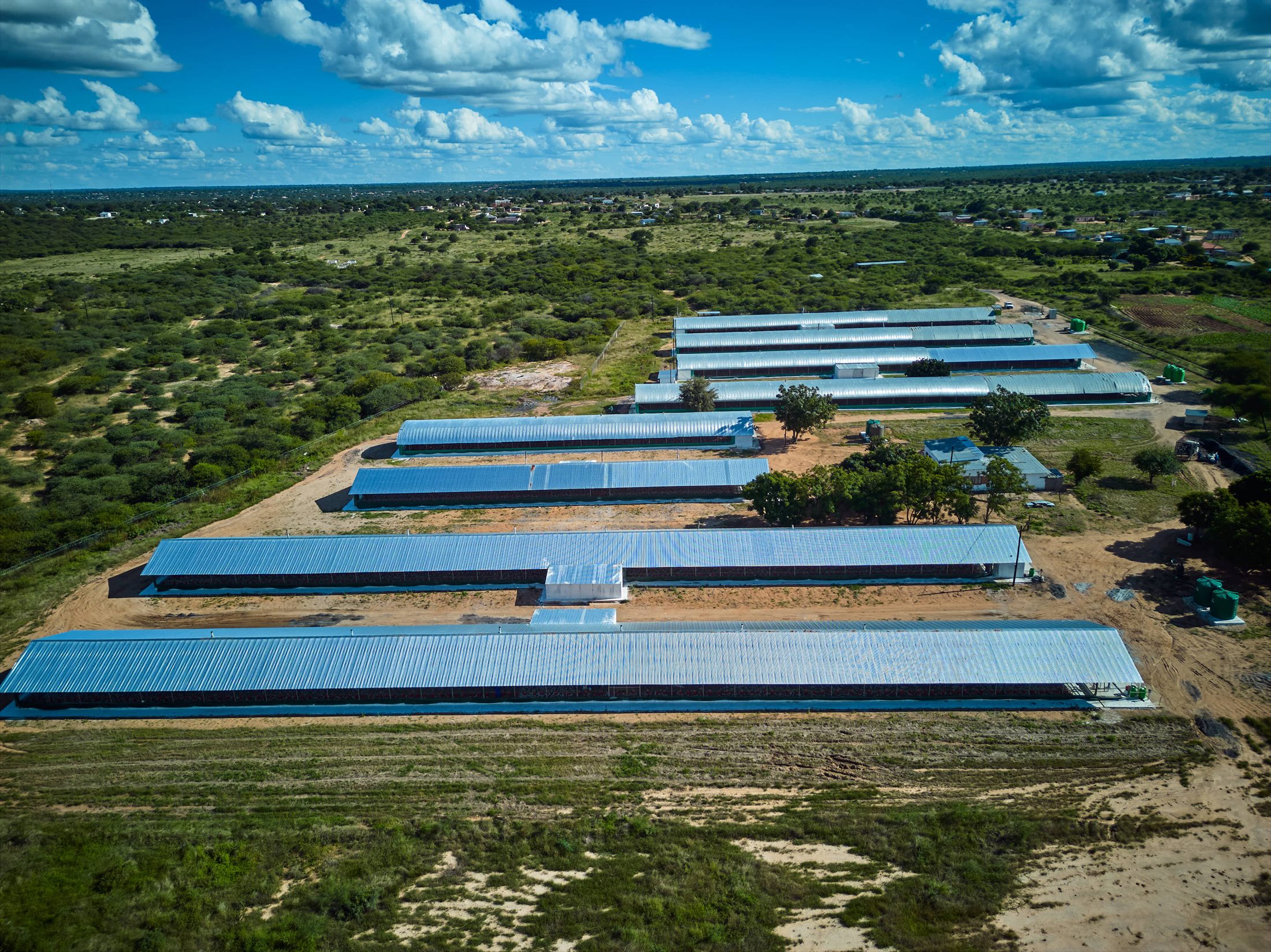 Broiler production farms