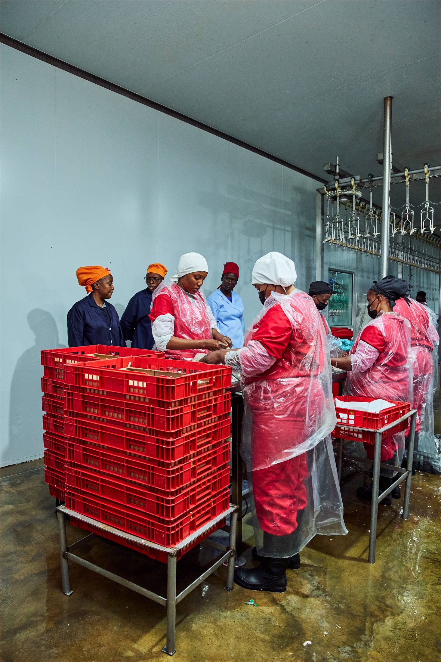 Freebird Poultry team and operations