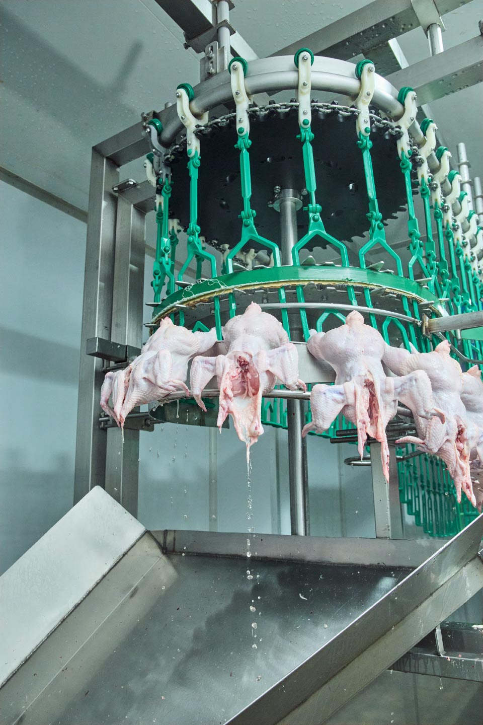 Freebird Poultry operations portrait