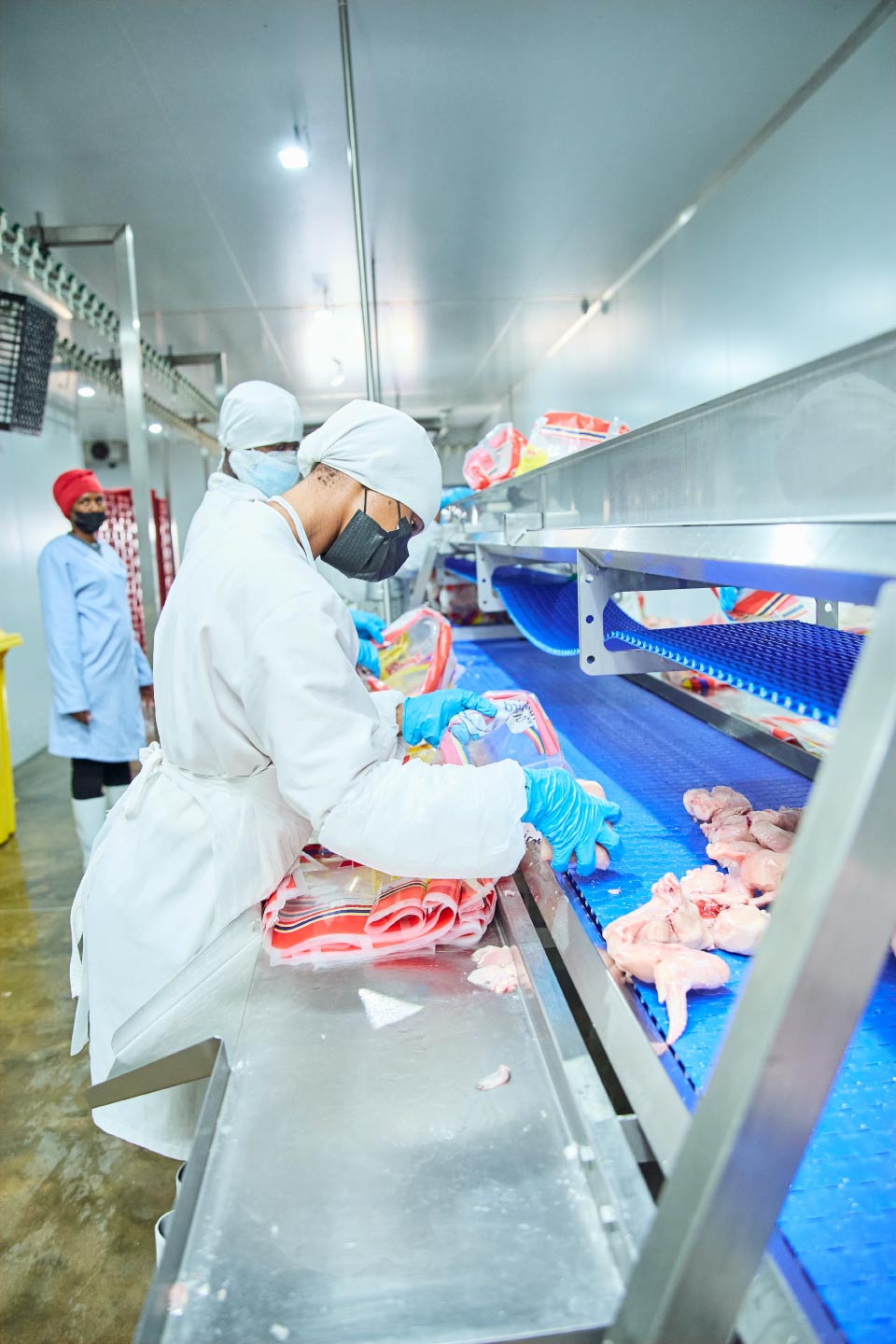 Freebird Poultry operations portrait